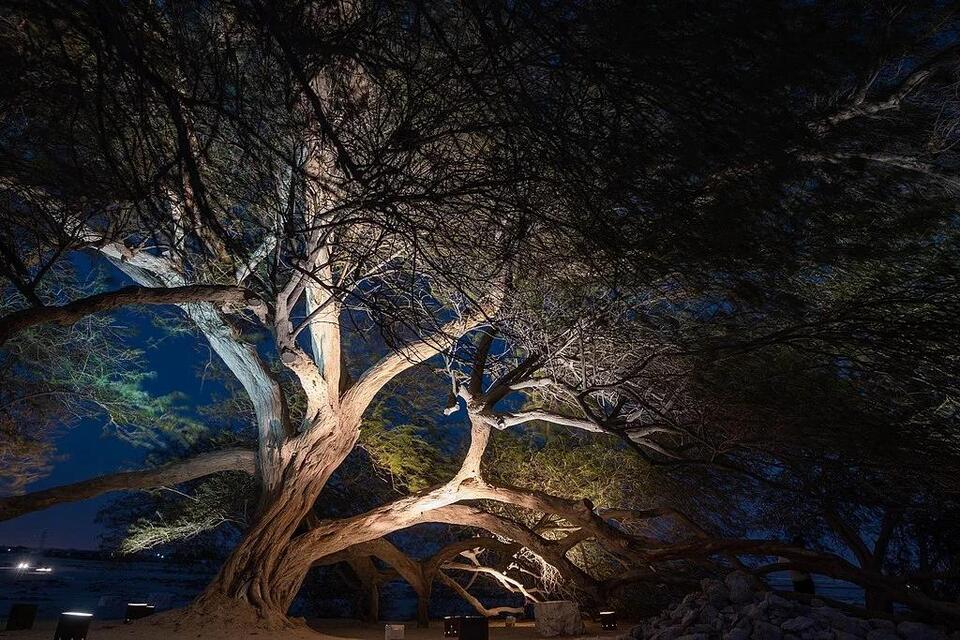 Picture of How We Sustainably Renovated Our Brooklyn Living Room