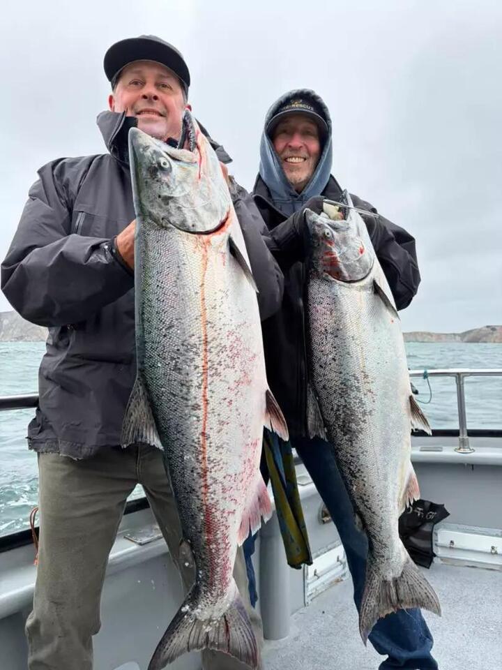 Loaded down today on the new school of hogs