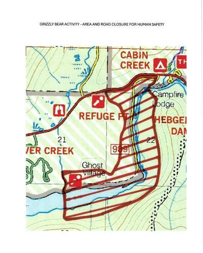 Bear activity closes Ghost Village area near Hebgen Lake - NewsBreak