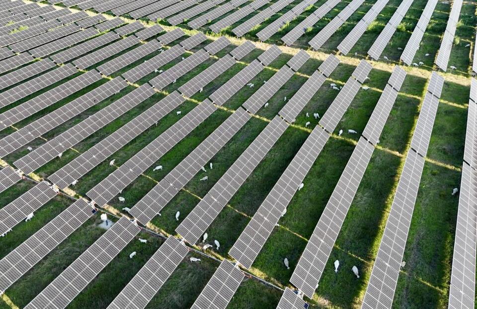 California and Texas are swimming in solar + storage | Factor This ...