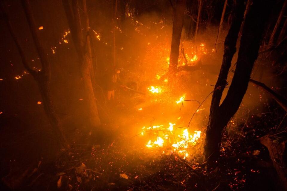 Gold Mountain Fire swallows neighborhoods and shuts down a highway ...