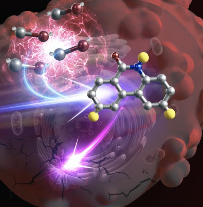 Cancer cells killed with their own carbon monoxide - NewsBreak