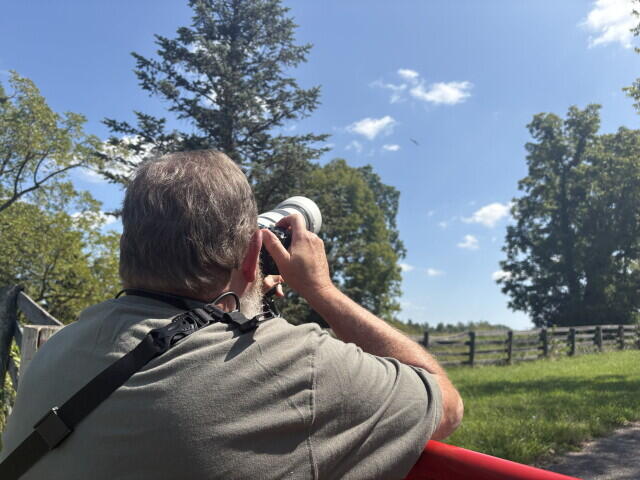 Rare swallow-tailed kites spotted in Jessamine County, drawing birders to US 68