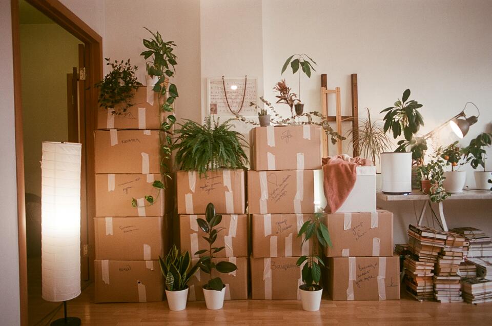 Making Your Move Abroad Stress-Free