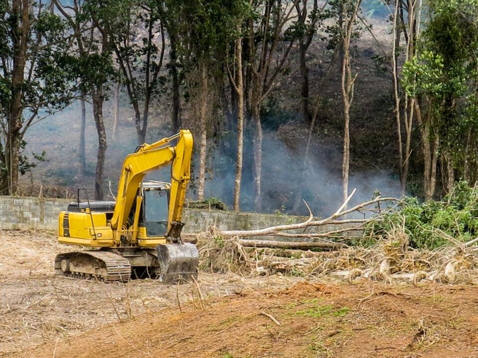 Zachary land-clearing company acquired by Sulphur contractor - NewsBreak