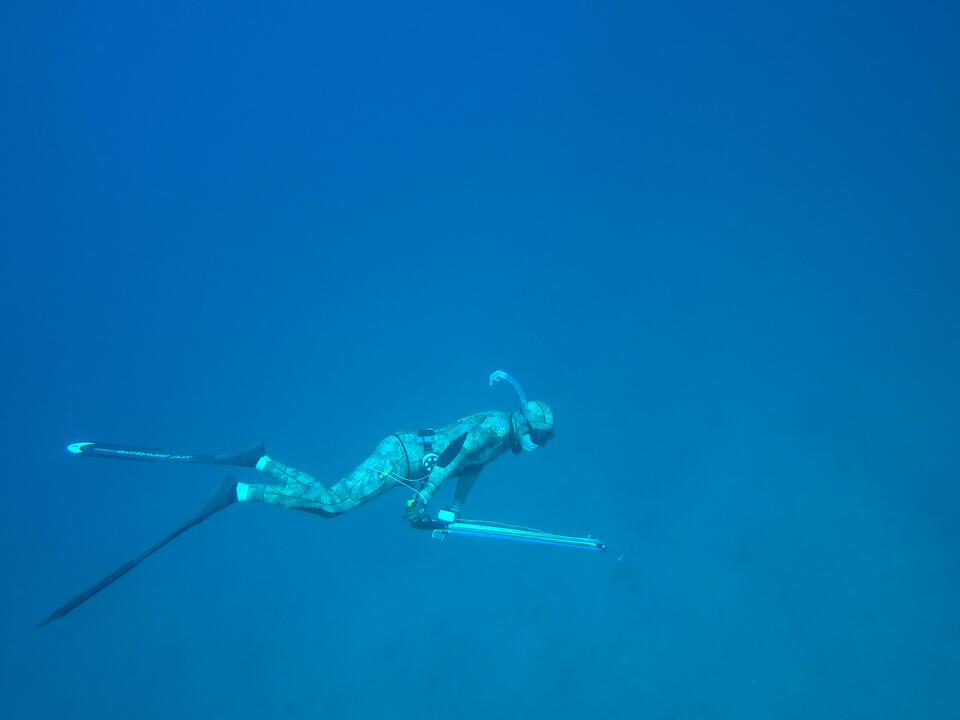 Free Divers Dive Without Oxygen Tanks to Hunt Fish Ryan Myers