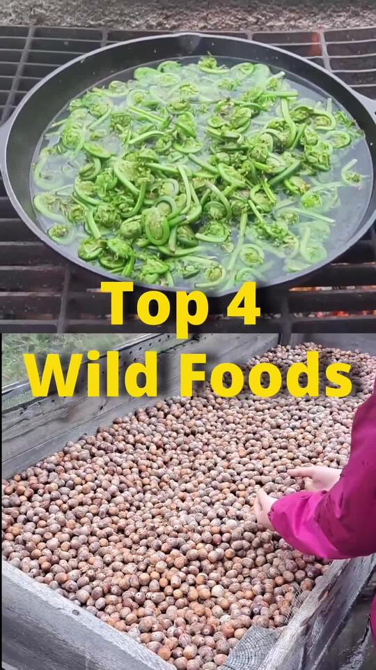 My top 4 Wild Foods I foraged in 2023 1 Fiddleheads 2 Chanterelles 3 ...