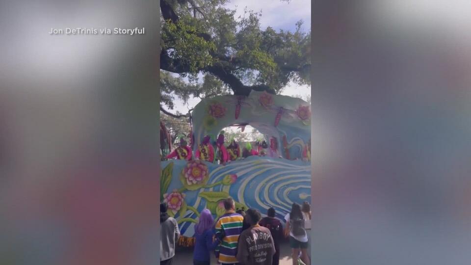 Video: Rex float gets stuck under Oak tree branch - NewsBreak