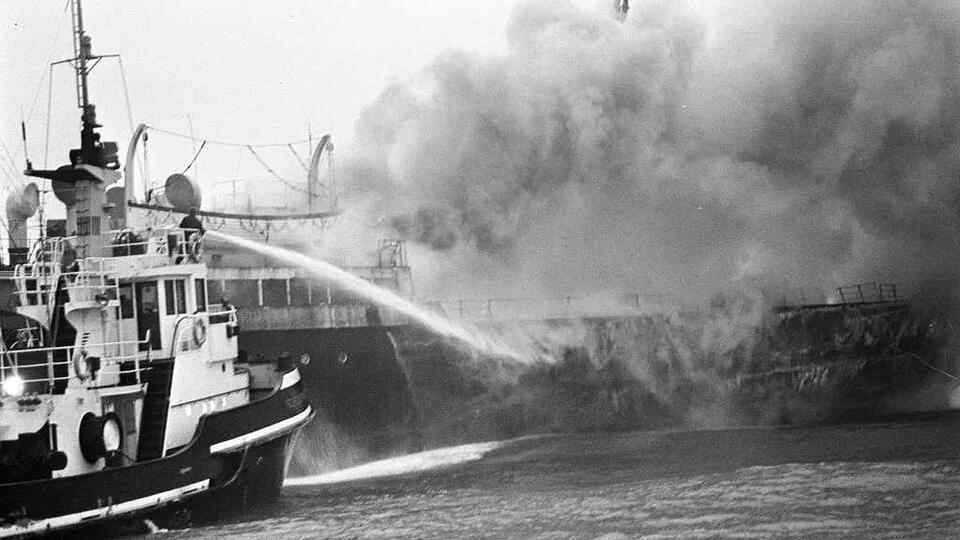 The fire retardant in the seafood chain - NewsBreak