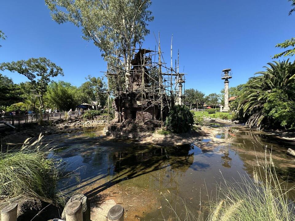 Water Drained From Abandoned Gibbons Exhibit at Disney's Animal Kingdom ...