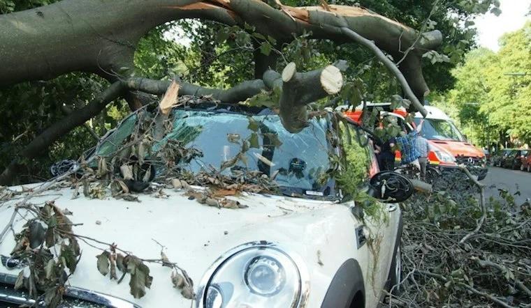 Man Dies After Car Hits Tree on Main Street in Romeo, Wife Hospitalized ...