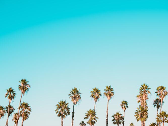 Lewistown Daily Weather Forecast