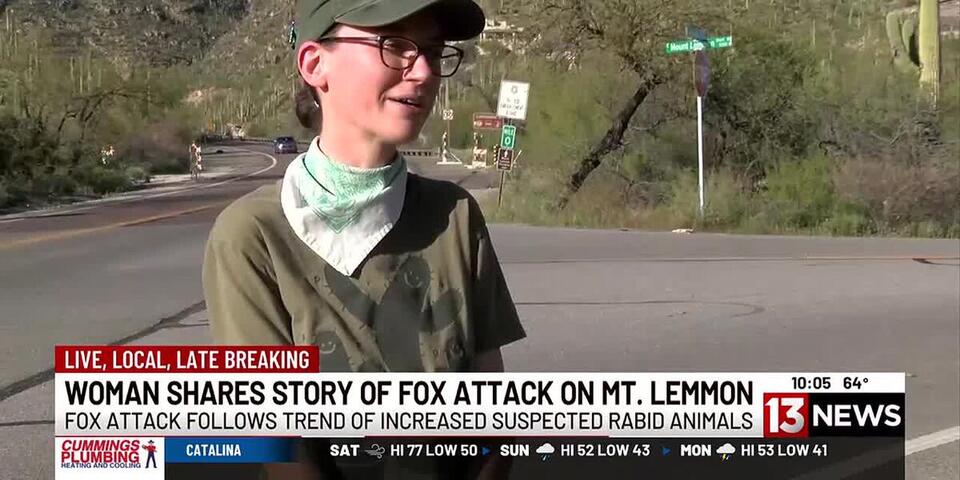 Tucson woman shares story after getting attacked by possibly rabid fox ...