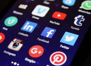 Social Media and Social Networking for Social Scientists