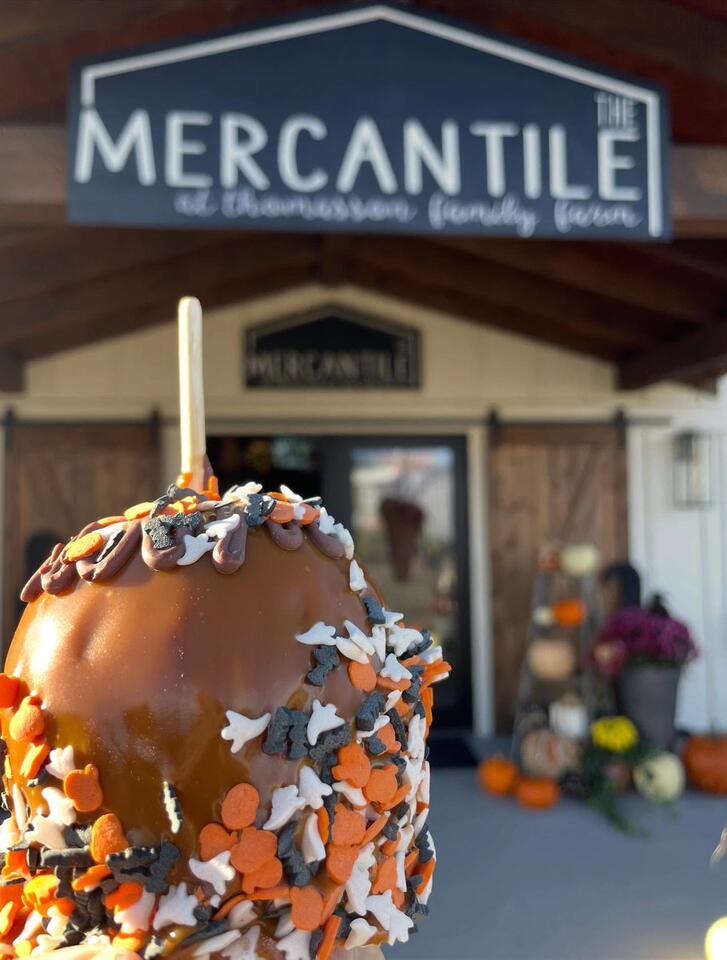 Fall activities at Thomasson Family Farm - NewsBreak