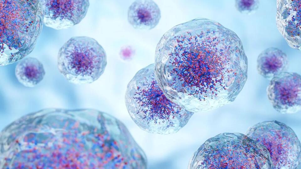 Lensless Imaging Method Enables Live Cell Monitoring Without Staining ...