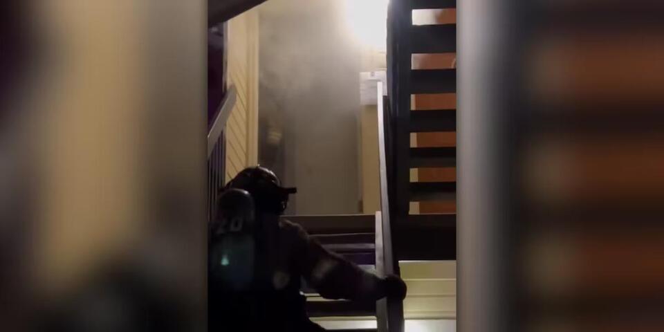 Crews knock down to apartment fire in Colorado Springs - NewsBreak