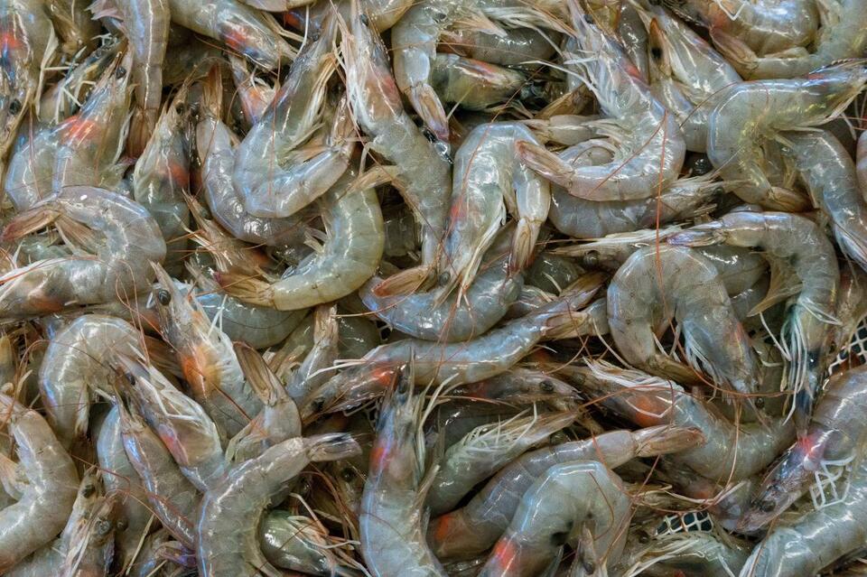 Shrimp with Radioactive Contamination Recalled in Iowa, Illinois ...