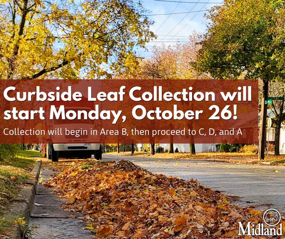 ⚠️ Midland curbside leaf collection starts October 26 - NewsBreak
