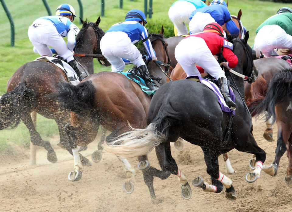 Equibase Ratings Races Are Gaining Traction