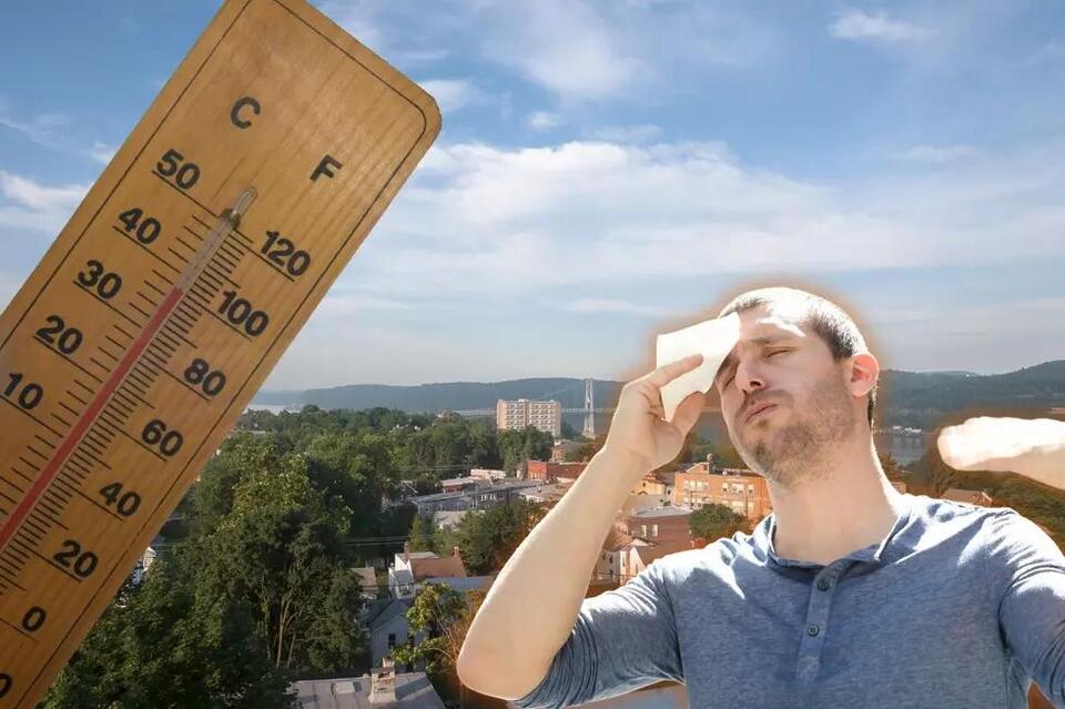 Breaking News: Dutchess County Takes Lead in Innovative Agriculture - From Farms to Tables