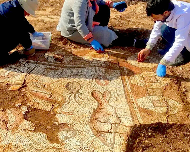 Stunning Roman Mosaics Featuring Sea Creatures Unearthed In Turkey