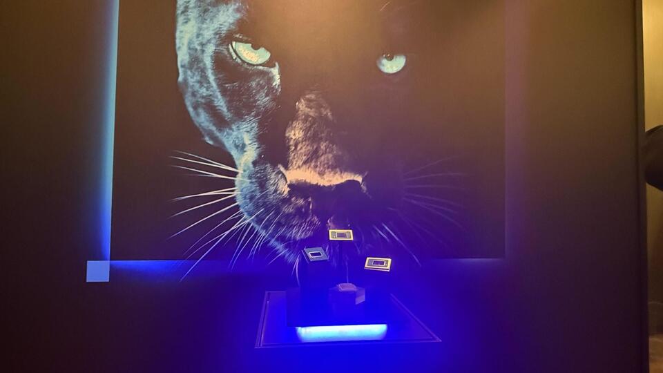 Big cat sighting: Intel shows off Panther Lake at Computex - NewsBreak
