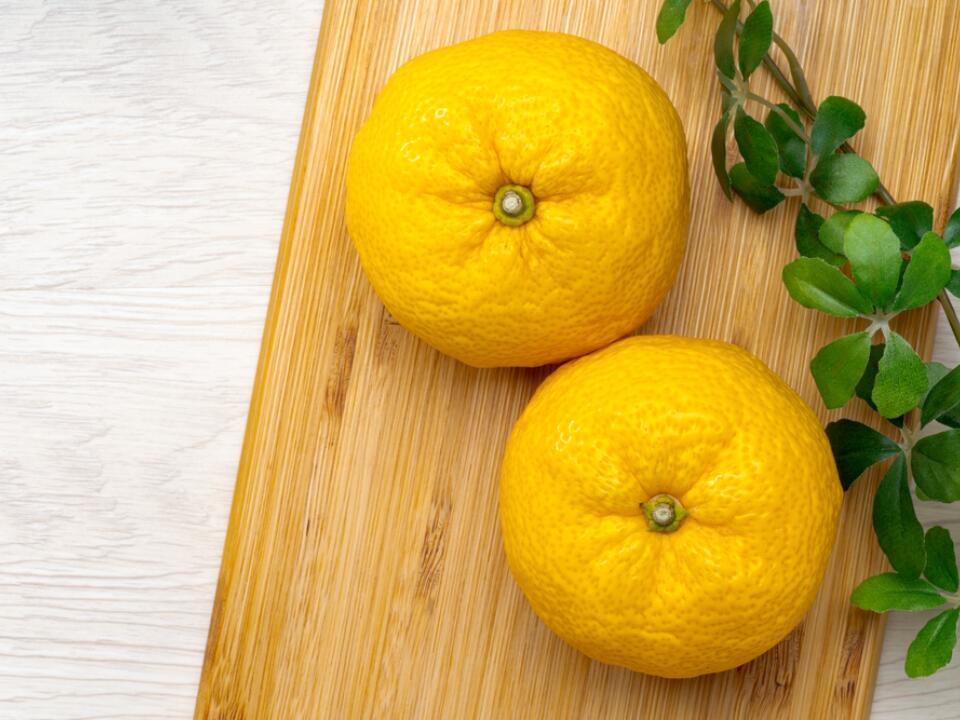 15 Rare Citrus Fruits with Perfume-Like Peels and Bright, Tangy Juice ...