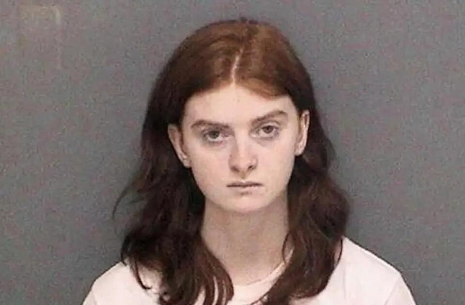 Indiana Teen Sentenced to 20 Years in Prison After Planning School ...