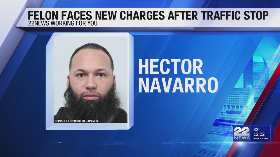Convicted felon faces 9 new gun and drug charges after traffic stop in ...