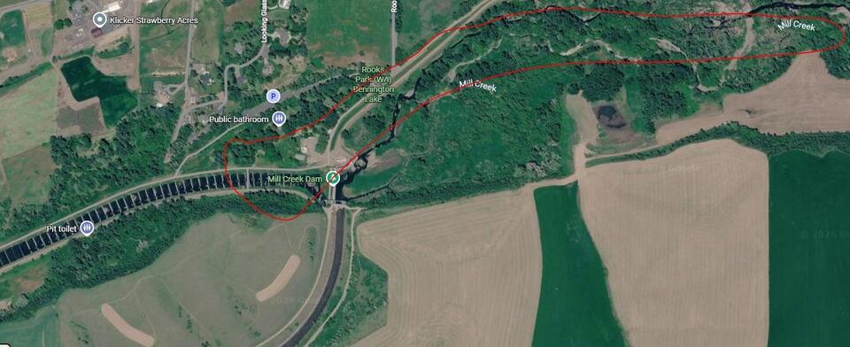Emergency Declaration for Walla Walla Main Water Supply