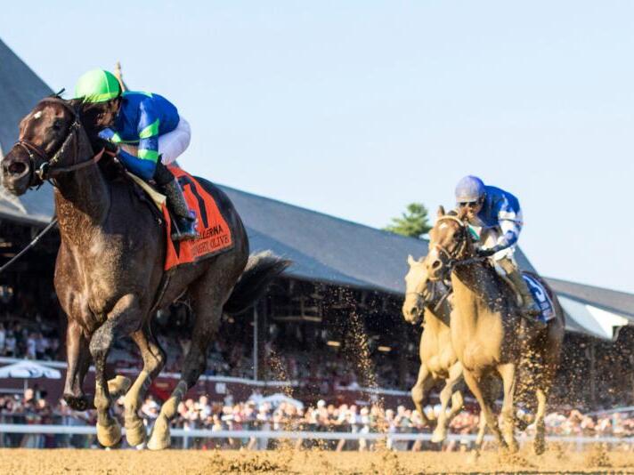 Road to the 2024 Breeders’ Cup Sneak Peek at Saratoga Stakes and Other