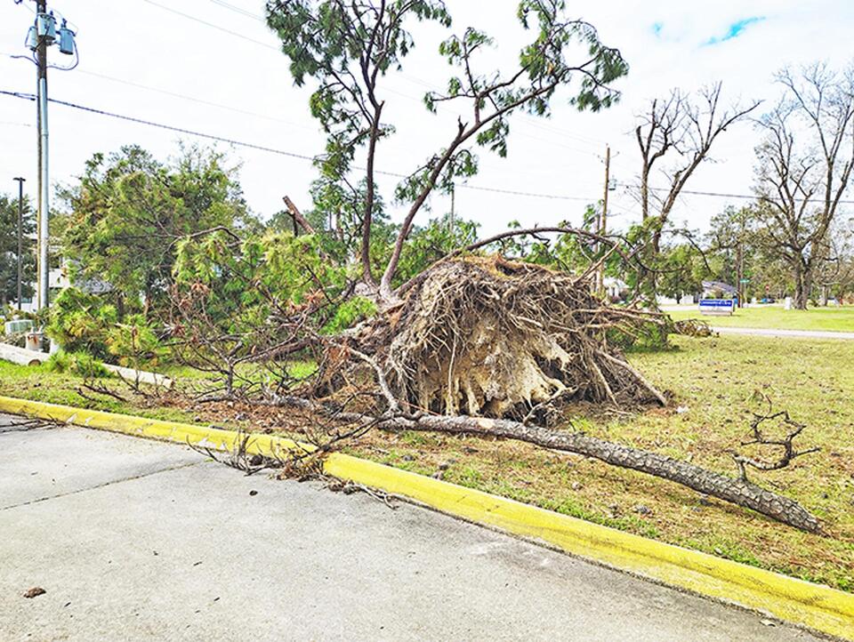 Clean up continues, debris piles grow - NewsBreak