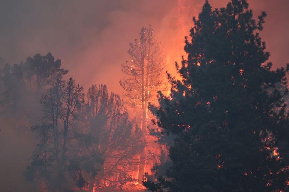 Remains Found in Wildfire Burned Vehicle Near Chelan Identified