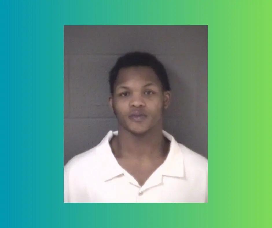 Asheville 19-year-old arrested on 25 felony counts in major fraud bust ...