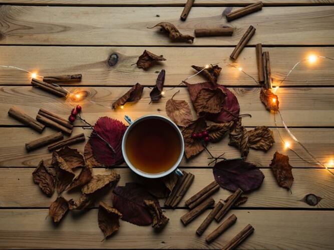 Danforth Daily Weather Forecast