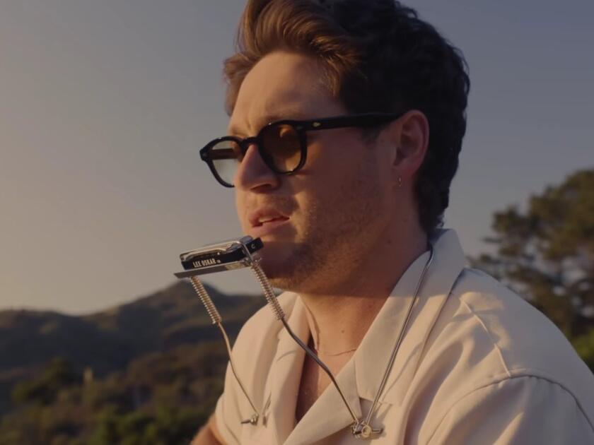 Who Is Niall Horan’s Girlfriend? Amelia Woolley’s Job & Relationship