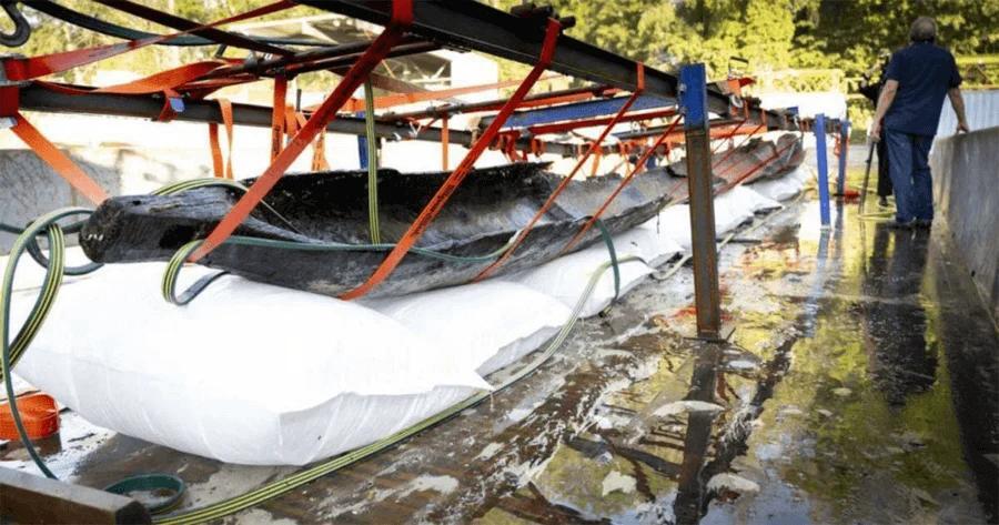 An Enormous 2,500-Year-Old Canoe Was Just Recovered From A Swiss Lake In Remarkable Condition