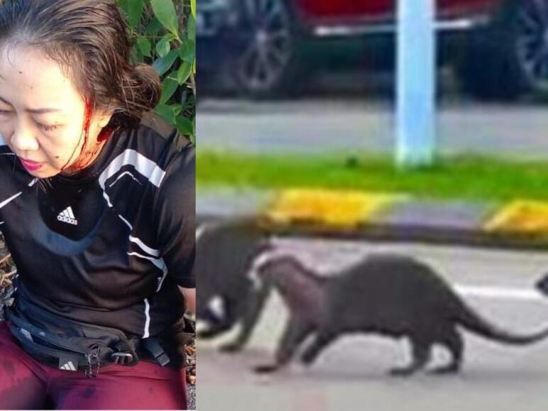 Horrific Otter Attack Leaves Malaysian Woman Injured