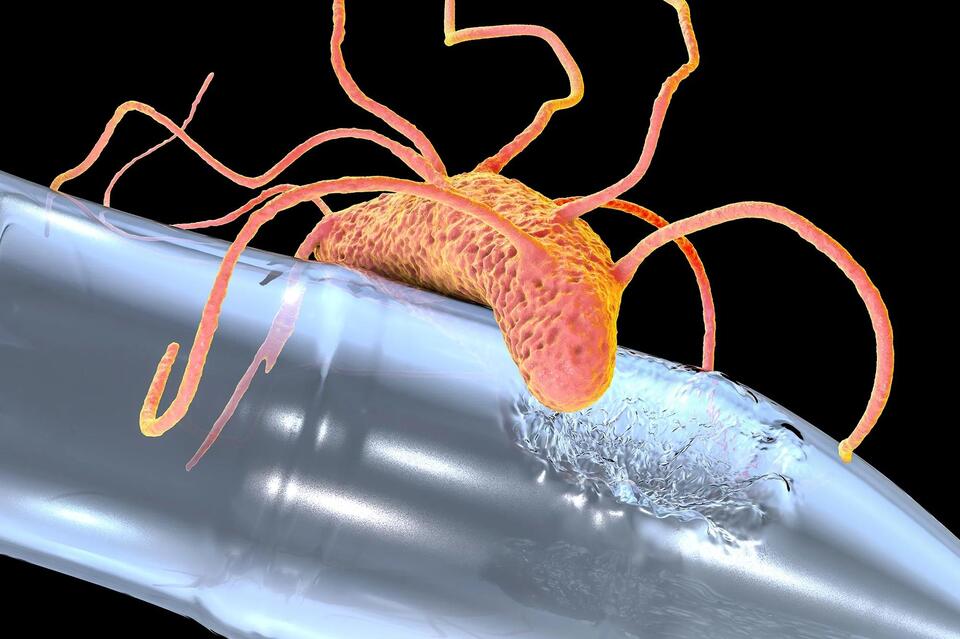Scientists Discover “Pac-Man Enzyme” That Eats Plastic - NewsBreak