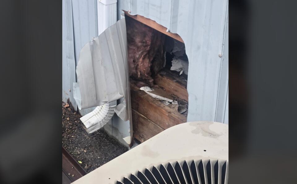 Thieves Cut Hole in Wall of Ashville NAPA Auto Parts Store; Reward Offered