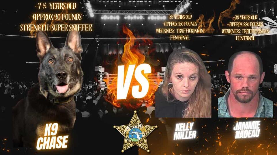 K-9 Alert Leads to Major Fentanyl Bust, Two Arrested in Brooksville ...