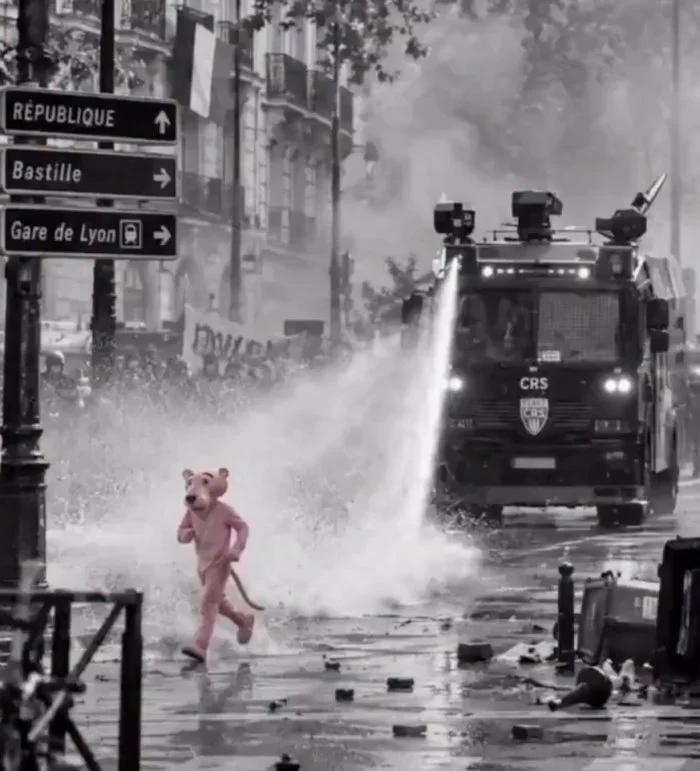 Fact Check: FAKE Images, Videos Show Pink Panther at Paris Protests ...