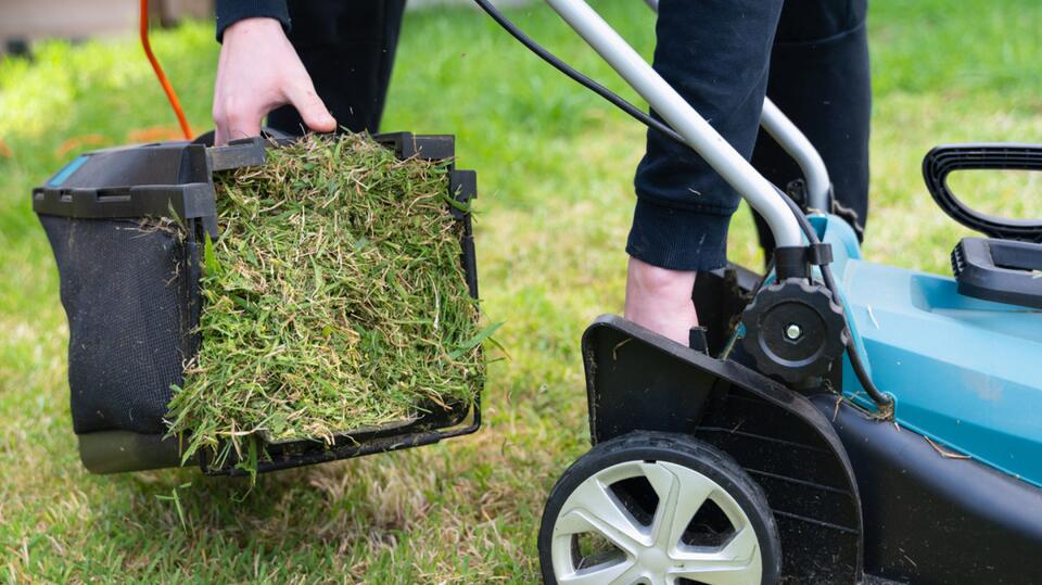 Stop Wasting Your Grass Clippings. Here's How to Use Them as Fertilizer ...