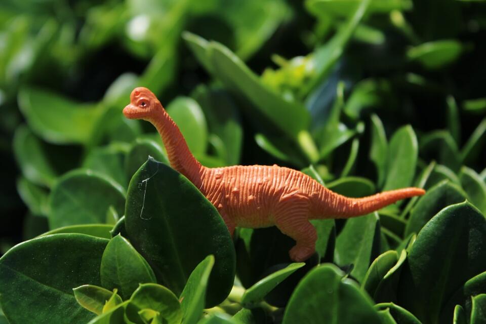 Curated visual reference: Fresh Look at The Grass Wasn T Greener Why Most Dinosaurs Didn T