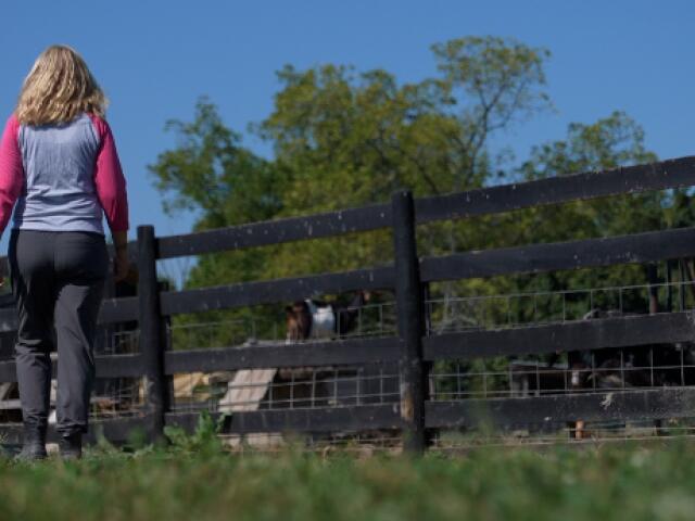 Meet a Monroe Twp. nonprofit that's devoted time, space and love to all animals