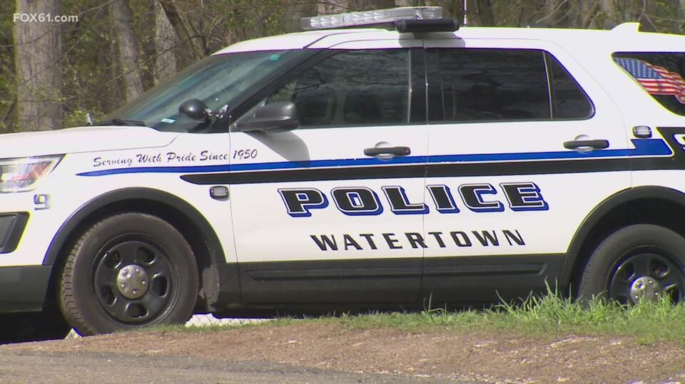 50 animals seized from Watertown home, man arrested in animal hoarding ...