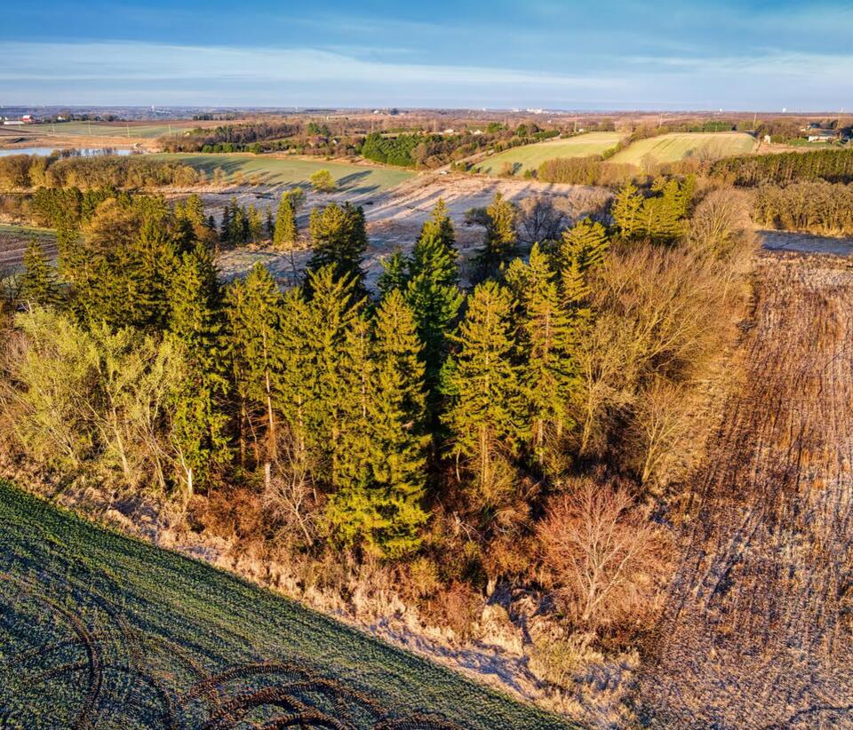 Couple buy 40 acres of land, and then a year later found something incredible on the property