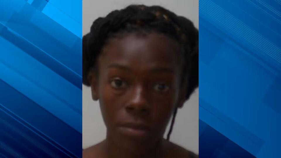 Woman faces multiple charges after allegedly pointing gun at children ...