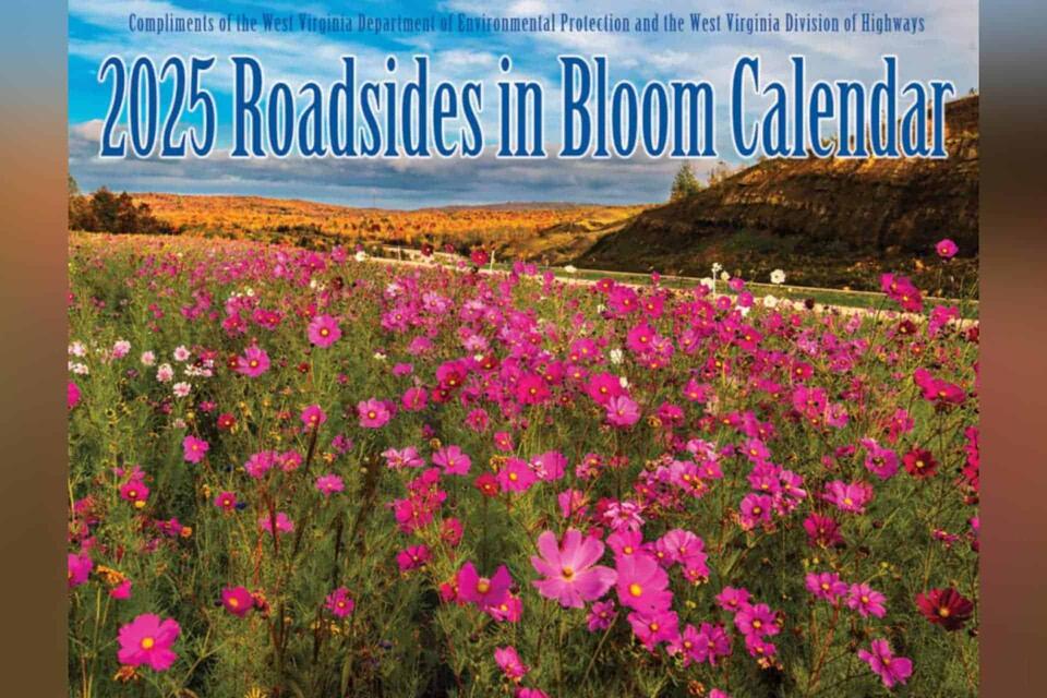 Local photographers featured in 2025 Roadsides in Bloom calendar